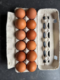 Extra Large Eggs