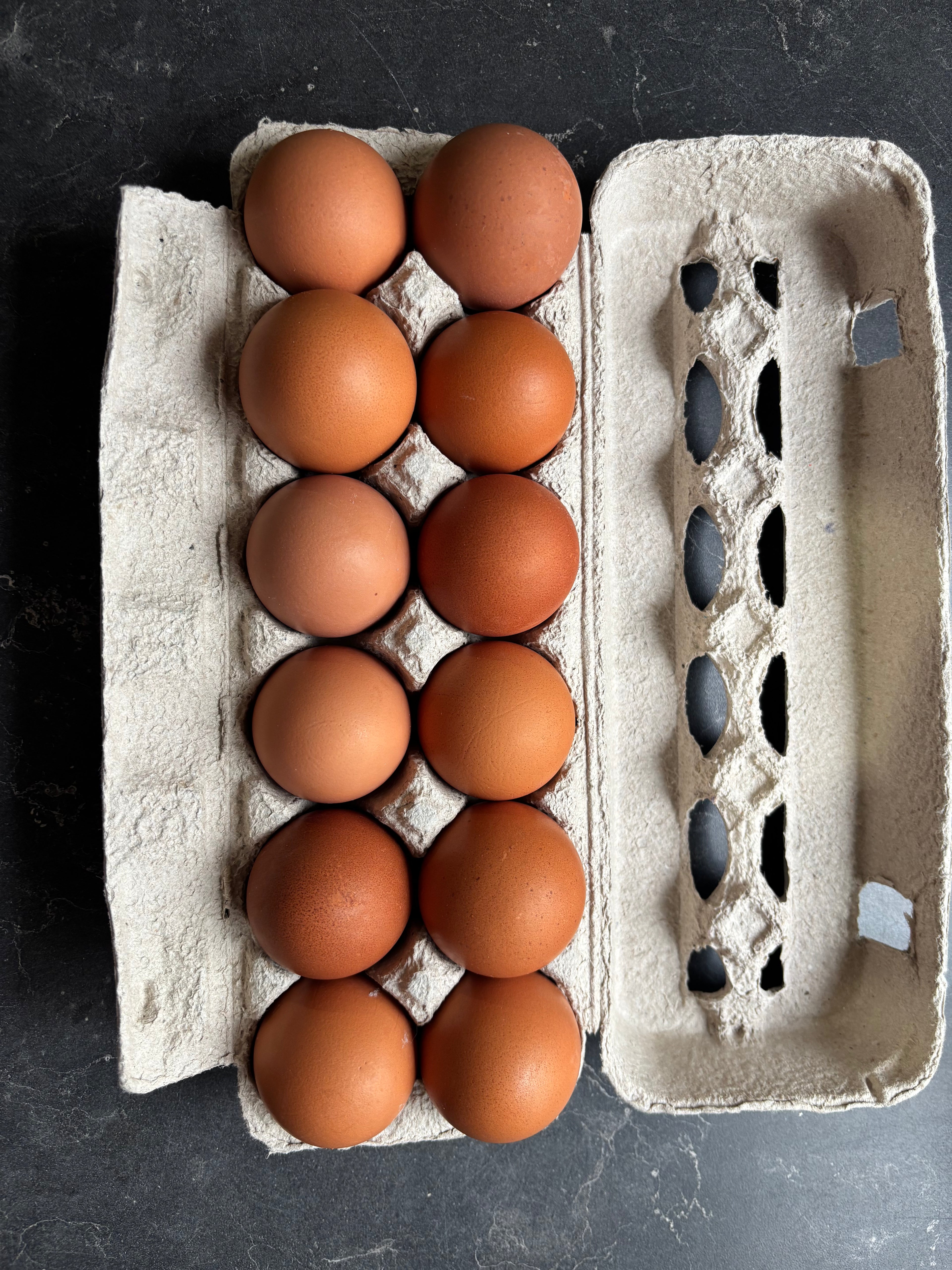 Extra Large Eggs